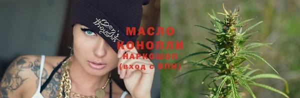 дмт Аркадак