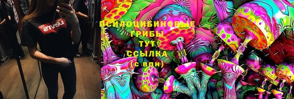 герыч Арсеньев