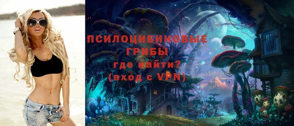 бошки Армянск