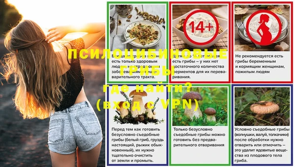 бошки Армянск