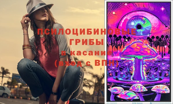 герыч Арсеньев