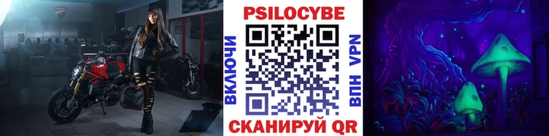 где продают наркотики Бавлы Псилоцибиновые грибы Cubensis